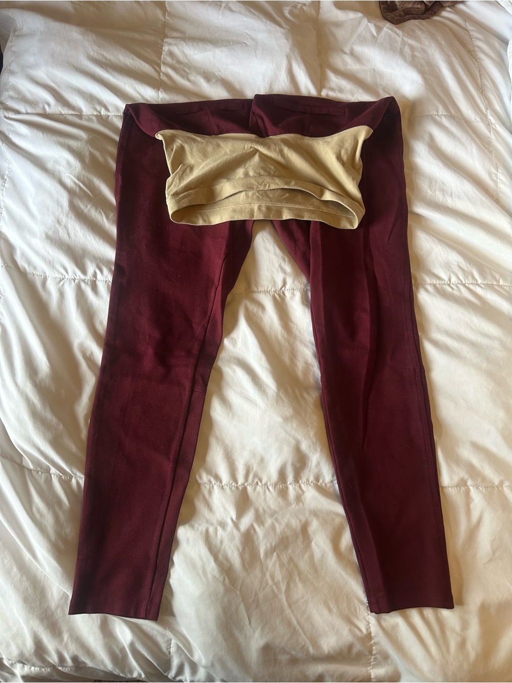 A Pea in the Pod Burgundy Leggings with Beige Fold-Over Waistband